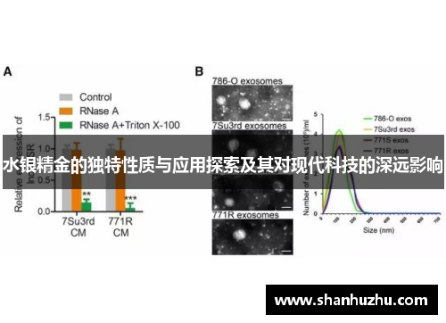 水银精金的独特性质与应用探索及其对现代科技的深远影响